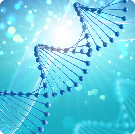 DNA Illustration